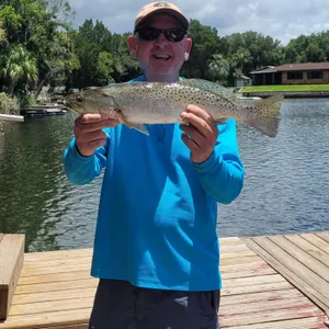 Speckled Trout out of Crystal River