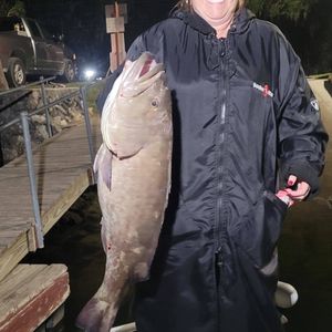 Crystal River Grouper Fishing