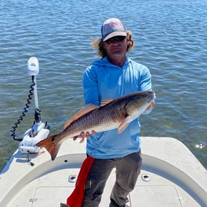 Beauty of A Redfish in Crystal River