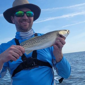 Sea Trout Fishing In Crystal River Florida