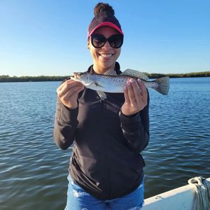 Sea Trout of Crystal River