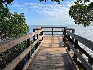 Best Things to Do in Palmetto FL with the Family