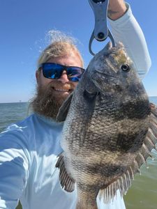 Great day on the water catching sheepshead—call 251-222-1525 to book an available trip. 