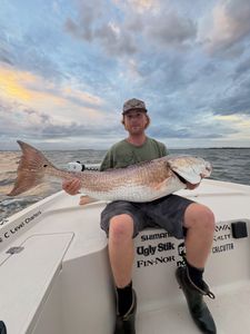 Three bull drum in just one hour—don't miss the next available trip!