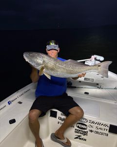 Night bite turned red hot