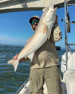 Fast action with blues and specs!