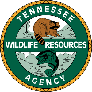 Tennessee Fishing License 