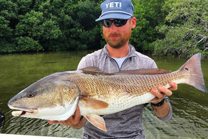 Tarpon Fishing Charters in Tampa Bay