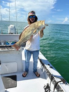 All the fish you want !