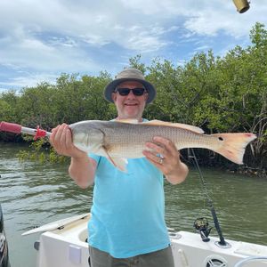 Consistent Redfish, Trout, and Flounder Action Along the Halifax River and Intracoastal Waterway