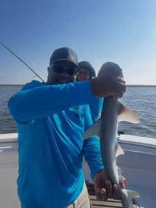 Grandpa, Dad, Uncle, and Son shared an unforgettable day on the water, catching plenty of whiting and landing exciting bonnethead sharks together.