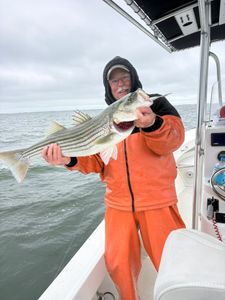 Striped Bass Action and Fresh Catch Rewards