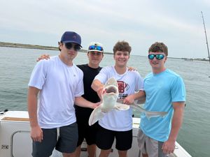 Slot Bass, Bluefish, and a Surprise 50-Inch Shark