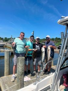 Full-Day Fluke, Sea Bass, and Striped Bass Action