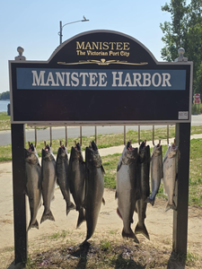 Lake Erie Fishing Report 
