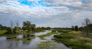 Things To Do In Lake Erie 