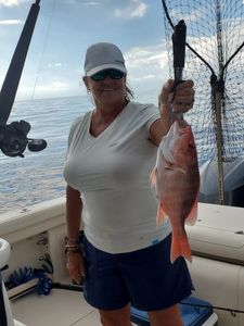 Florida's Finest: Red Snapper