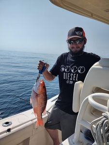 Another Red Snapper for the Fish Box