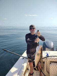 Offshore Fishing For Amberjack, Florida Panhandle