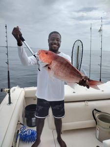 Red Snapper Fishing In Fort Walton Beach, FL