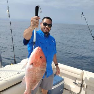 Large Red Snapper Fishing off the FL Panhandle.