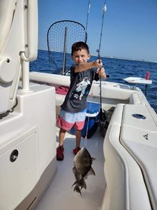 Trigger Fish Fishing In Fort Walton Beach, FL