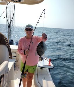 Happy to experience fishing a Triggerfish 