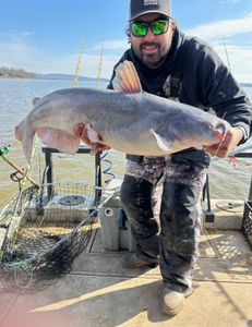 Some photos from last few trips