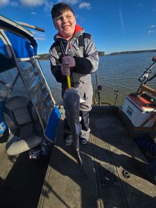 Bringing in the New Year slimy 