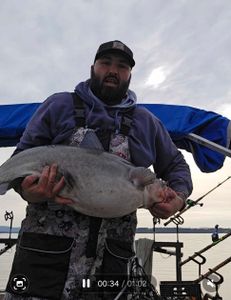 Fishing after the deep freeze