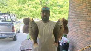 White Bass and Hybrids Keep the Rods Bending with Tommy Andrade
