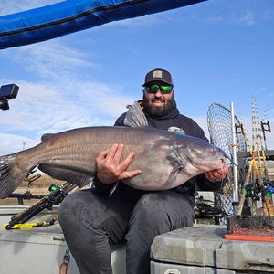 Epic day of blue cat fishing