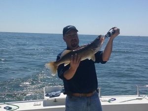 Nice Walleye catch in Lake Erie