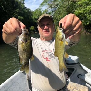 Bass Fishing in Green River