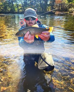 Payneville, KY Top Fly Fishing Charter
