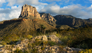 Things To Do in Texas