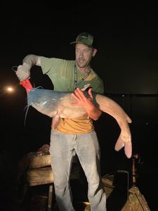 September Catfish Run 2022