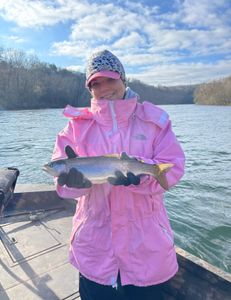 Rainbow trout bite is on fire!