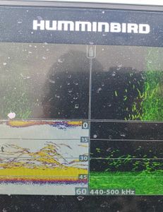 Hiding from the wind. 