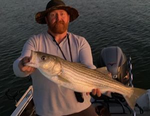 Striper Fishing in Lake Texoma