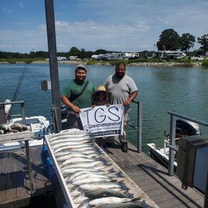 August is off to a good start 