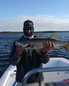 crystal river charters for big speckled trout!