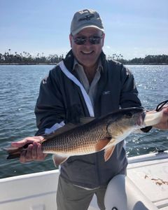 Caught an absolute beauty of a Redfish!