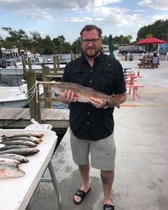 Sunshine State Redfish FIshing
