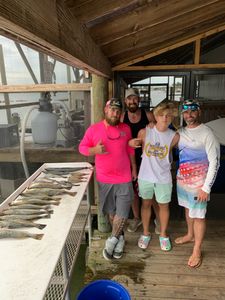 Things to do in Crystal River - Fish! 