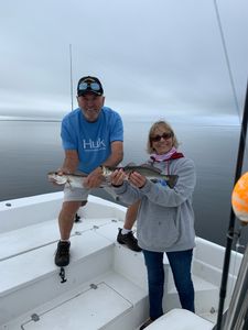 Speckled Trout in Eastern Florida