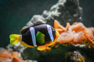 MP-Signup- Blog 10 - Anglers may need to not only knock the rust 