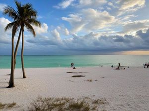 Things To Do in Florida