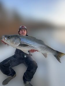 Limited openings next week book your fishing trip now