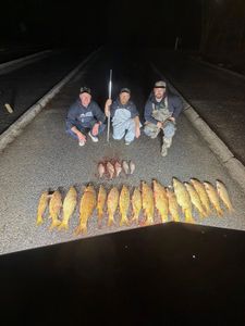 Bowfishing action picking up book your group trip now